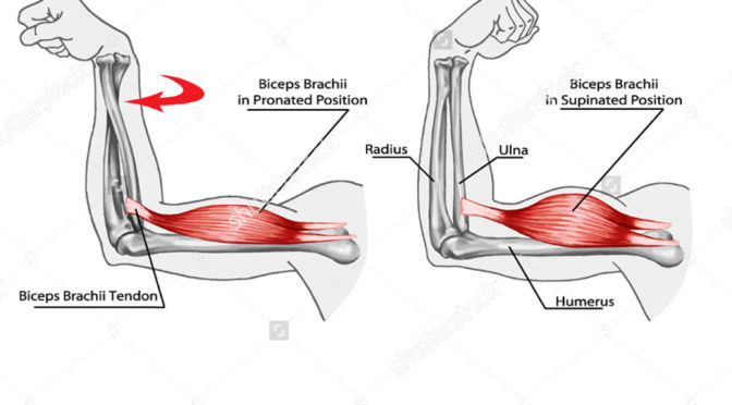 “I Cover My Guns Up“, Episode 98 of The Gospel Friends